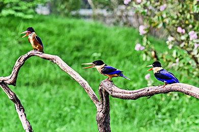 《飞空艇时代：贸易帝国》发售 上市宣传片欣赏