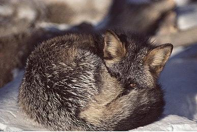 《极限竞速：地平线4》邀请赛第三周赛事回顾